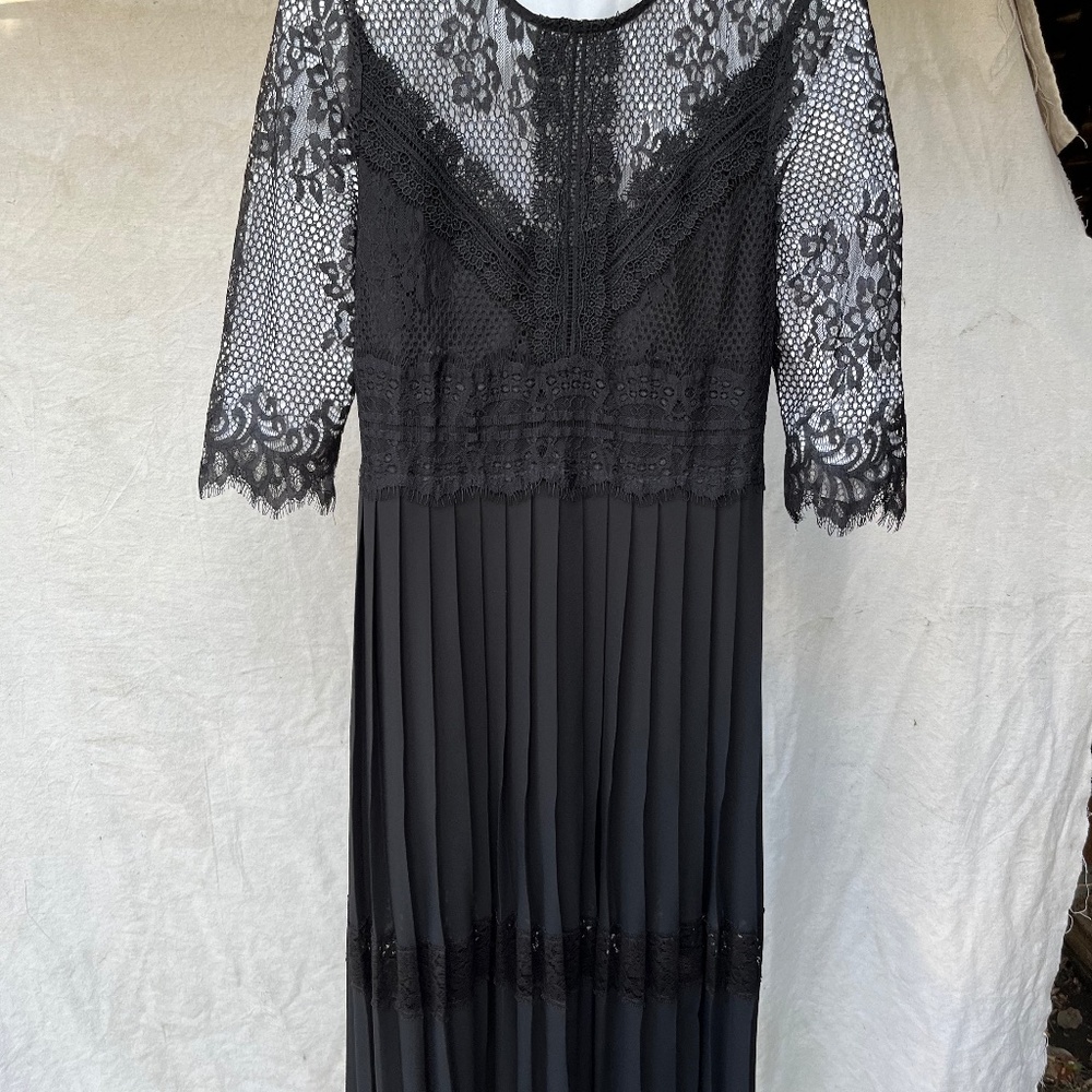 Zara Sheer Lace & Pleated Dress